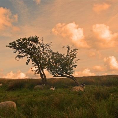 狗万官网app下载